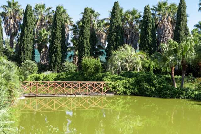 Laghetti, piante tropicali e are parlanti: alle porte di Bari c'� l'orto botanico Giardino dei tempi